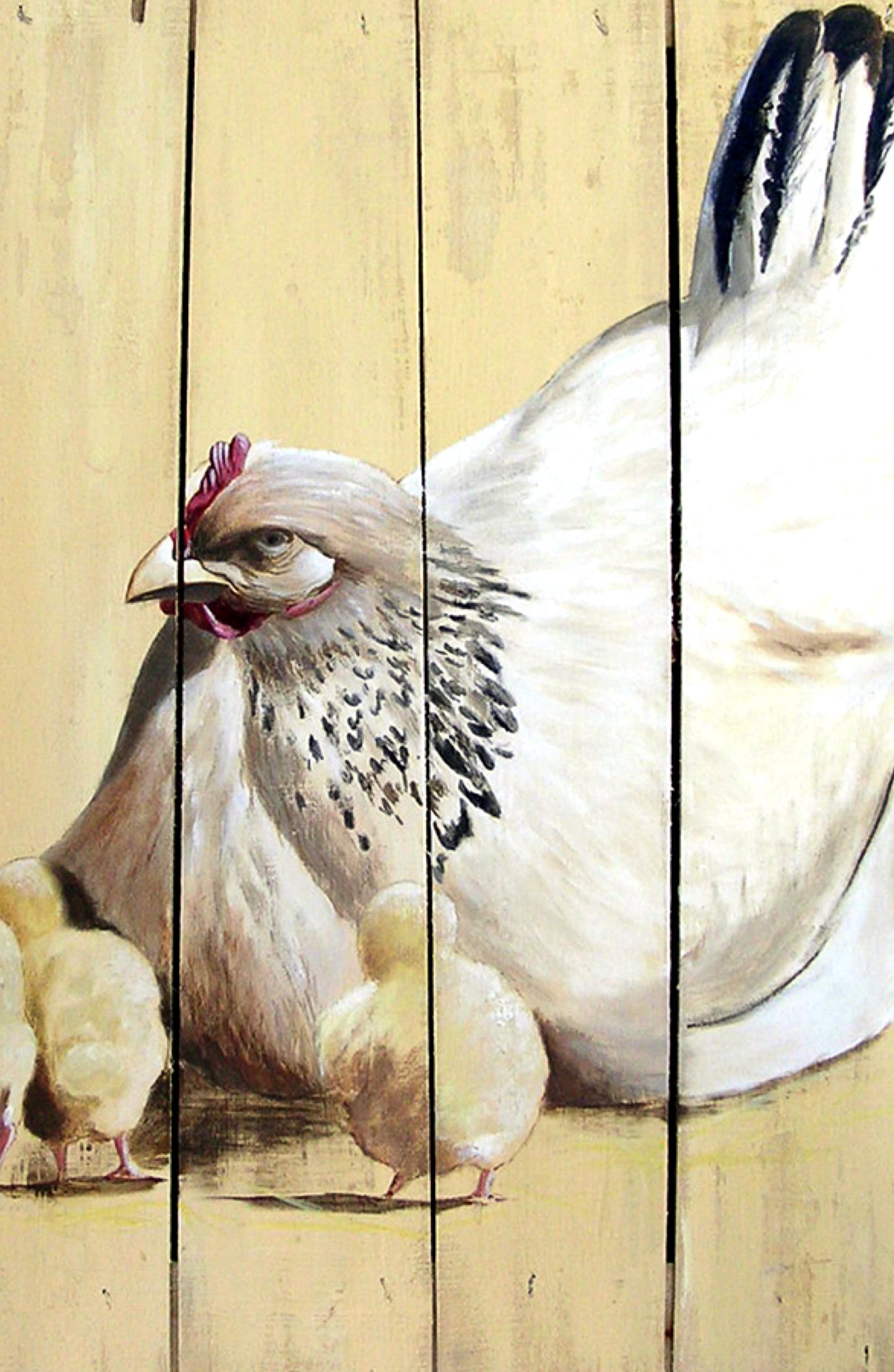 A chicken family