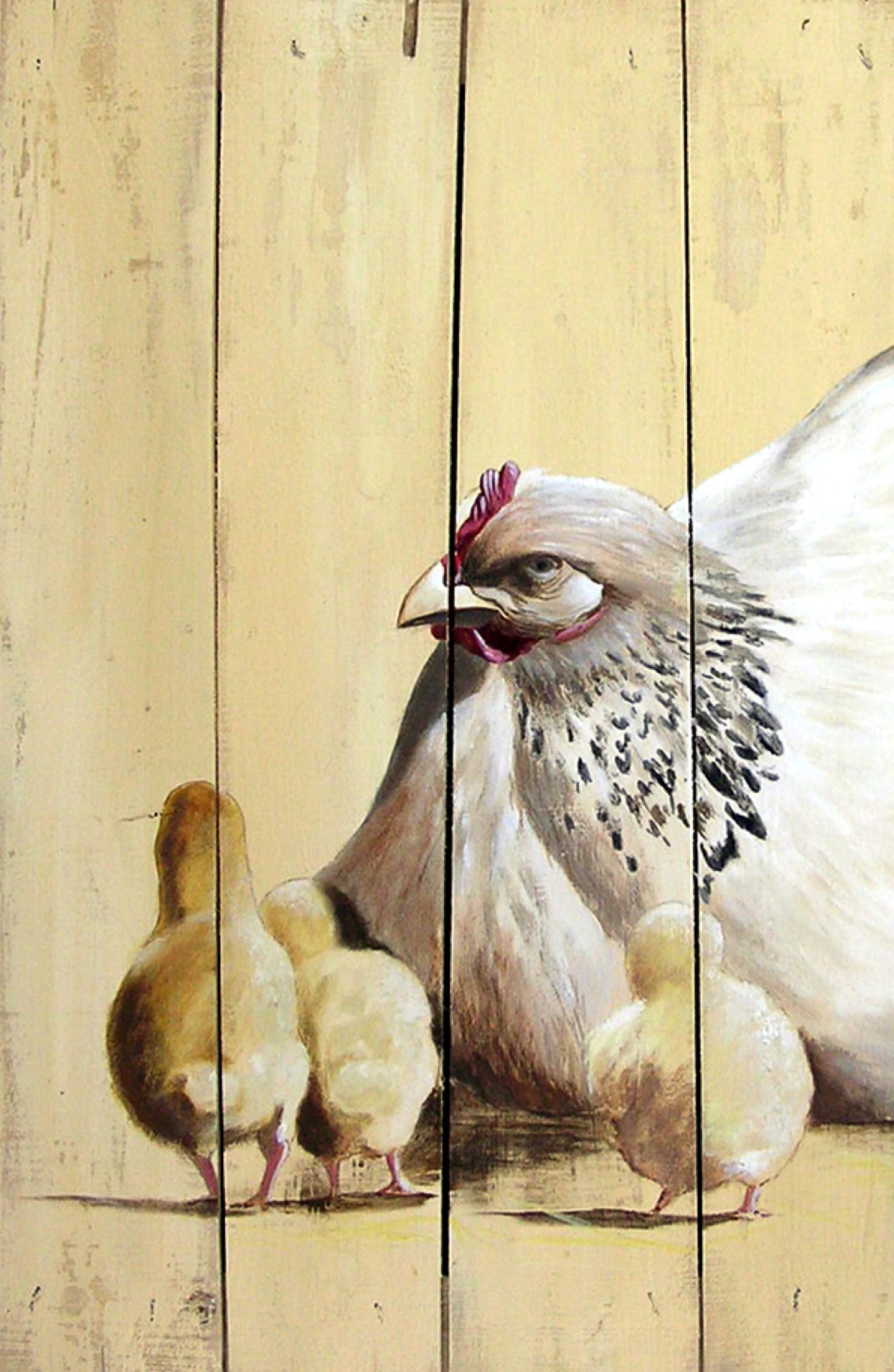 A chicken family