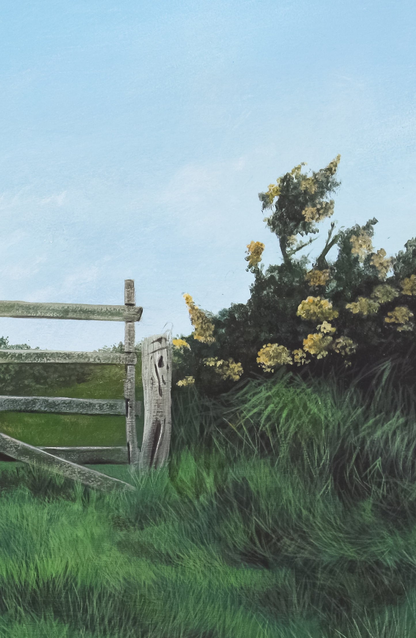 A gate