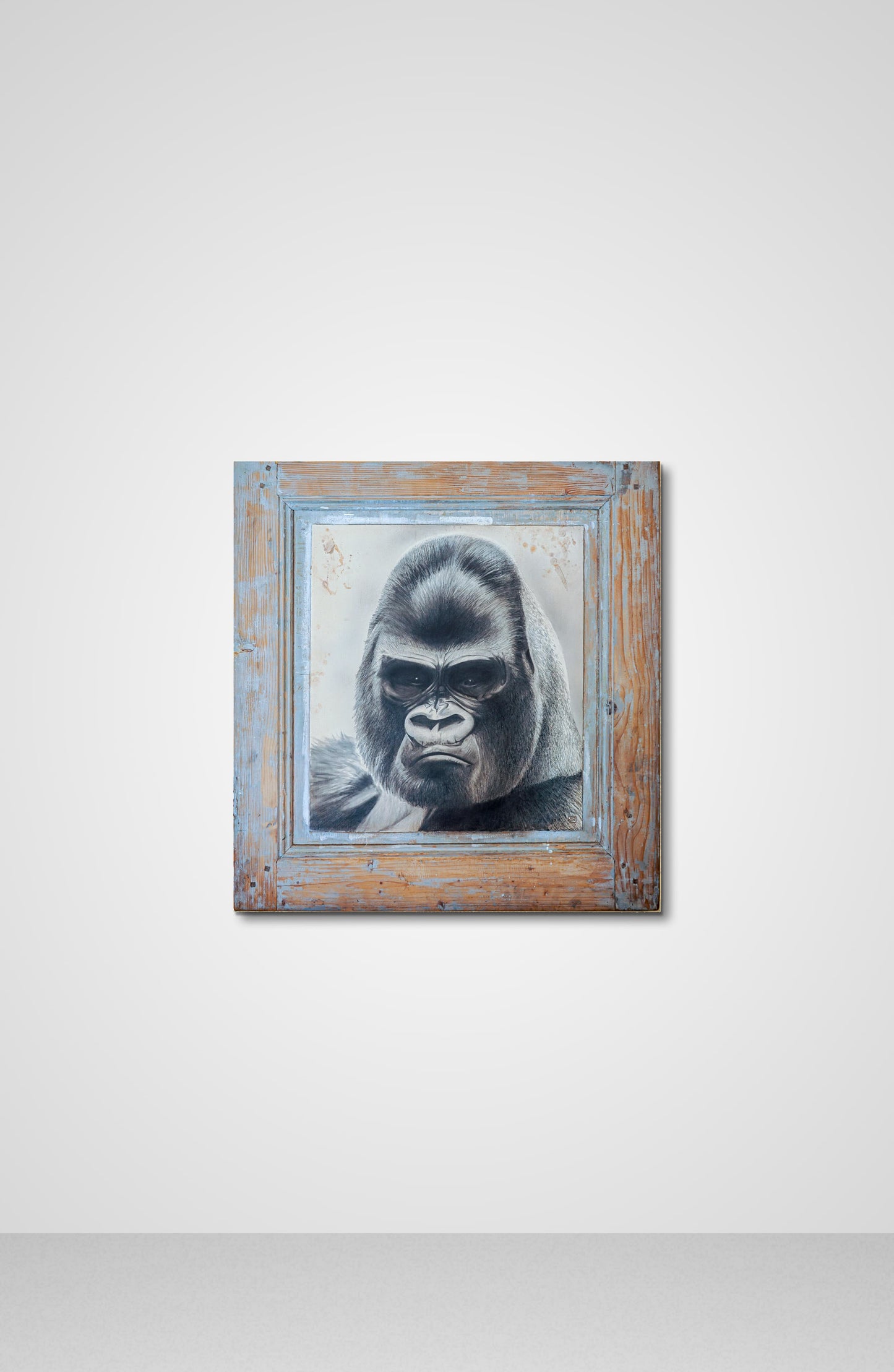 Eye of the Gorilla