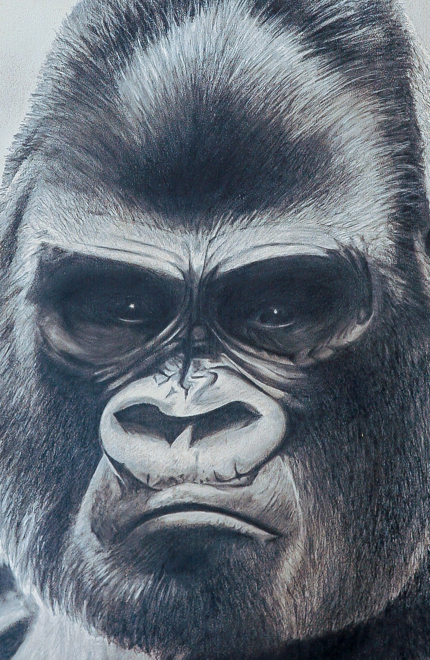 Eye of the Gorilla
