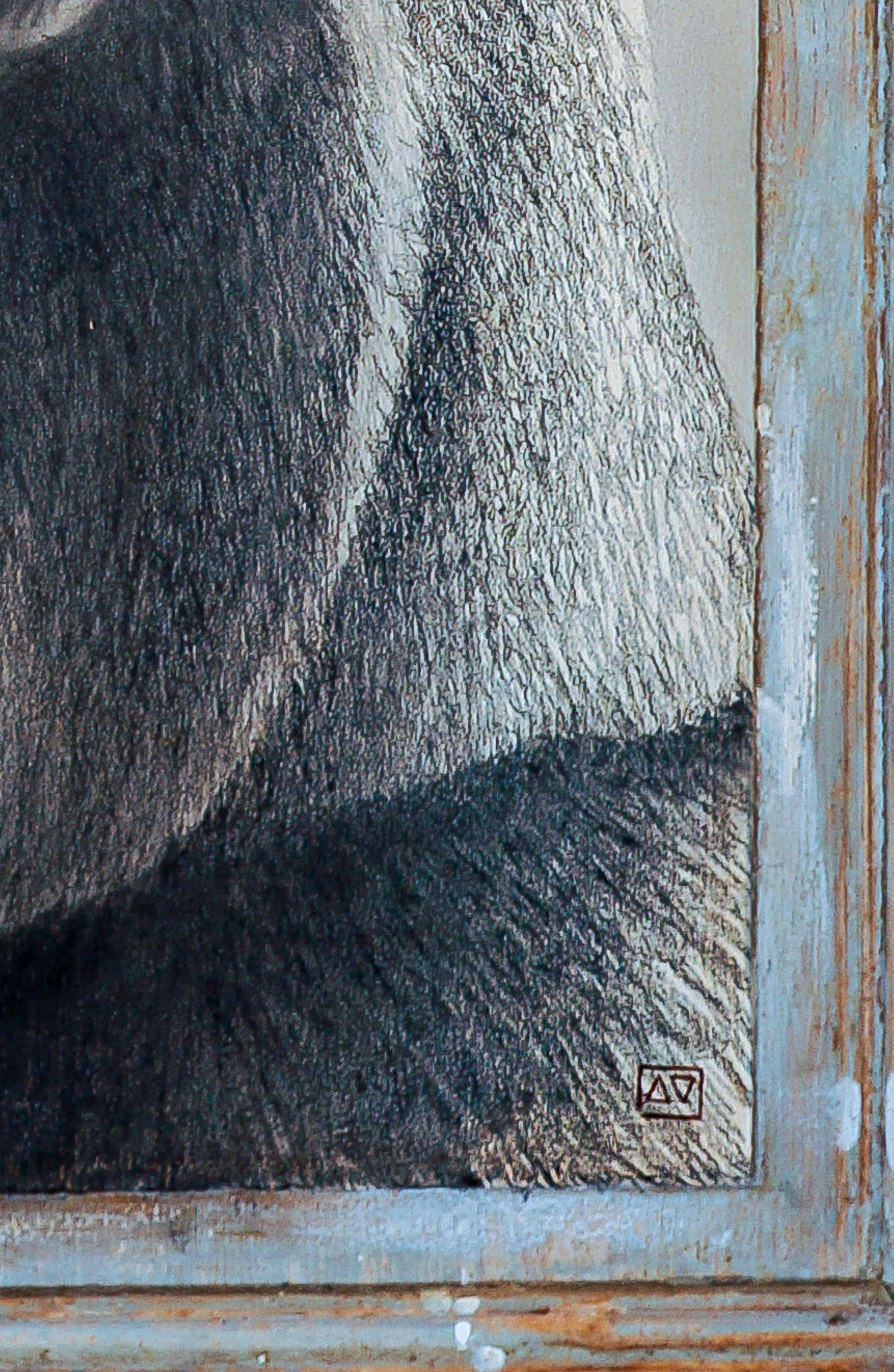 Eye of the Gorilla