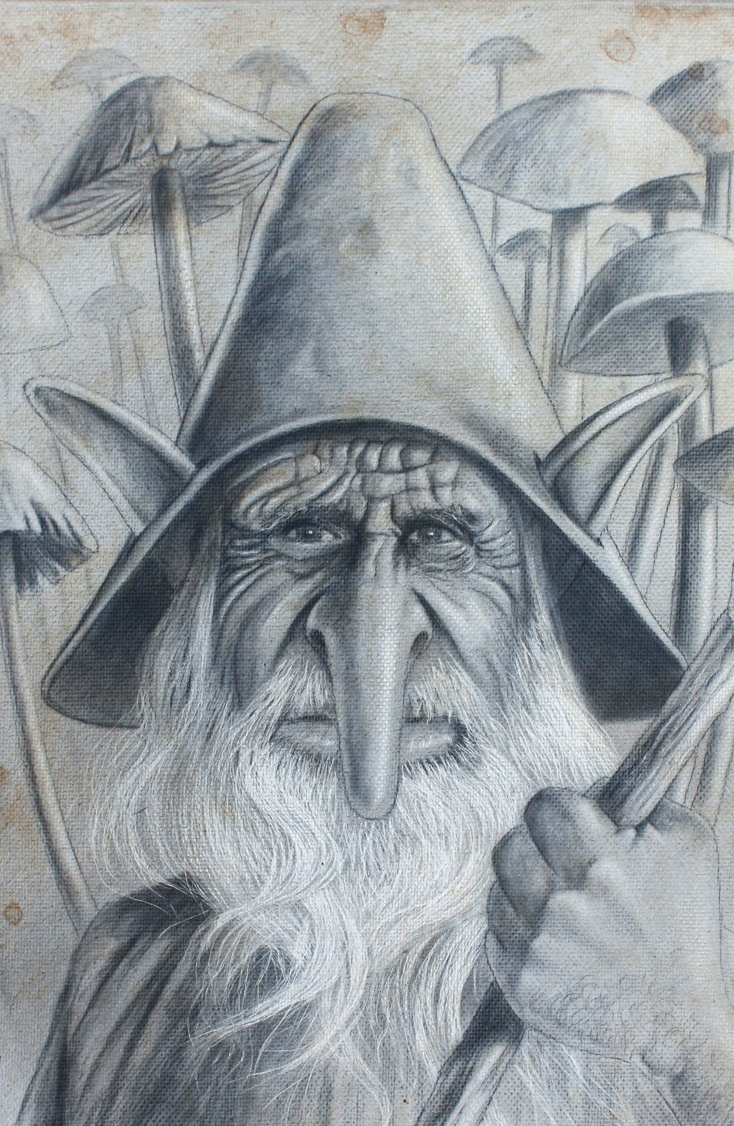 Patriarch'S Opinion
