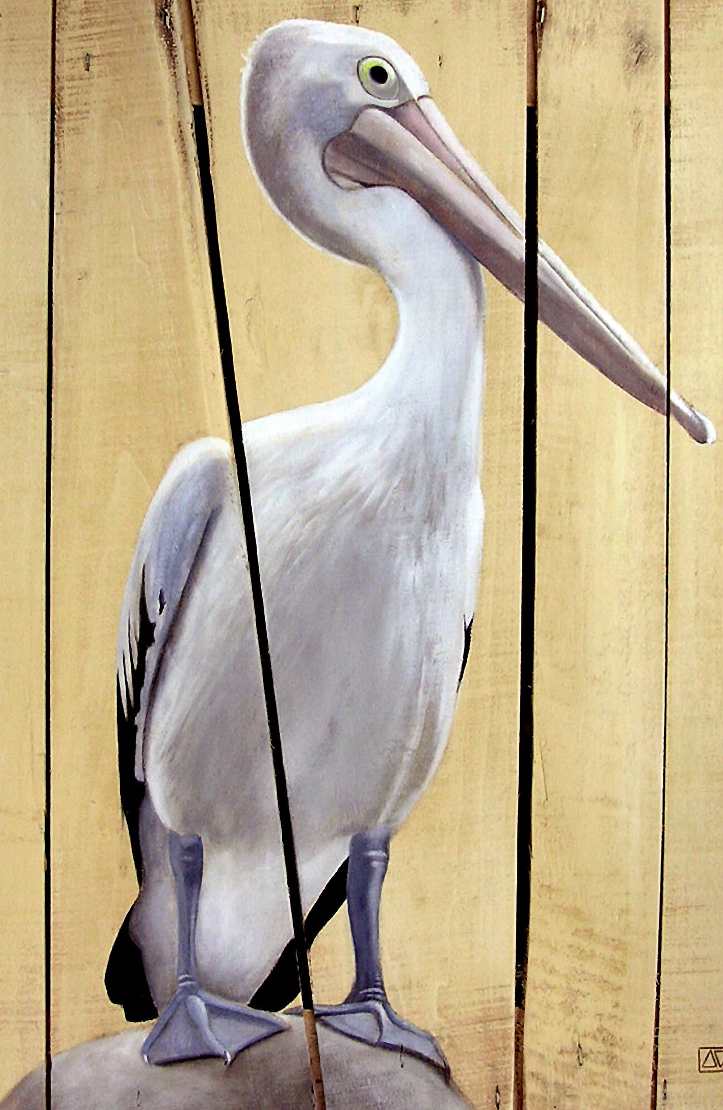 Pelican