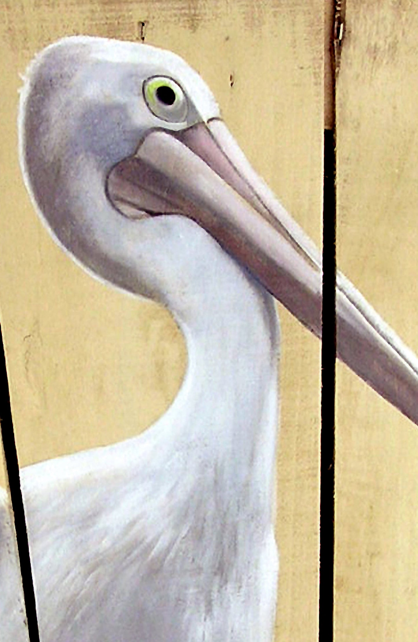 Pelican