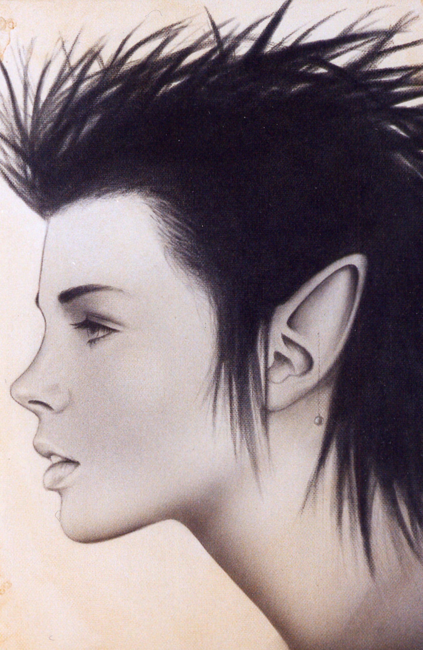 Portrait Of A Young Elf