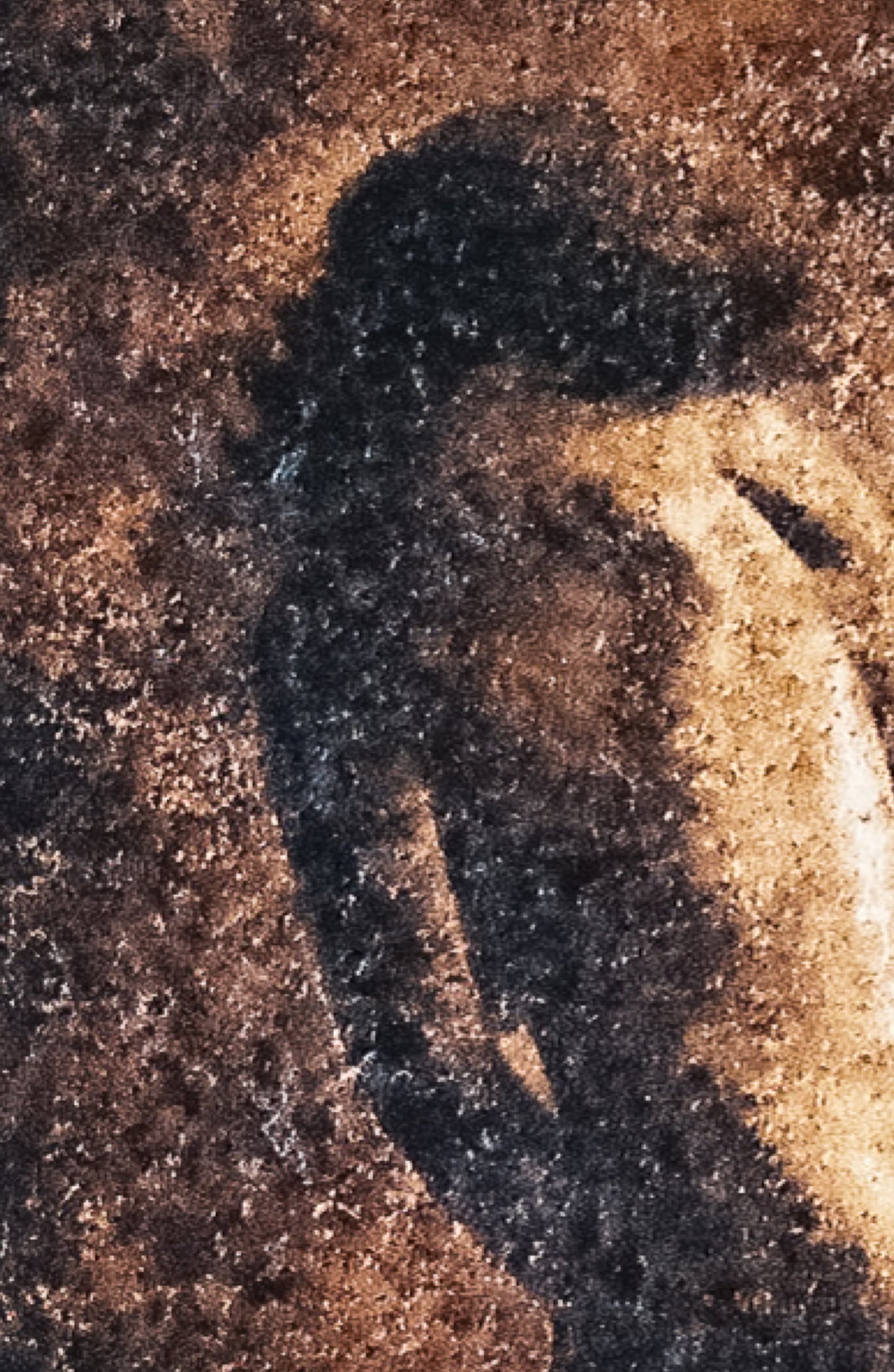 Study of a nude back