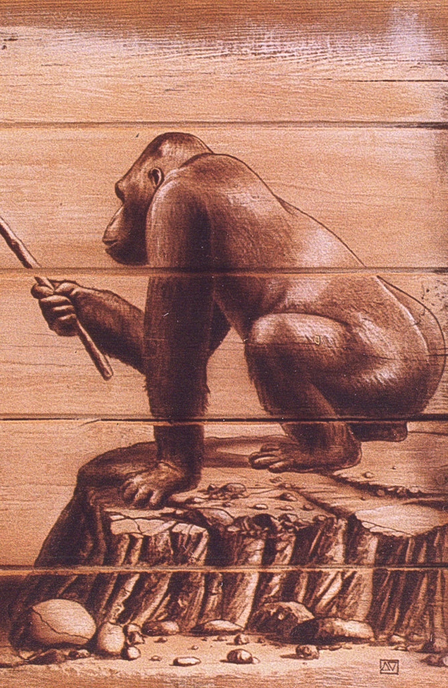 The Art of fishing
