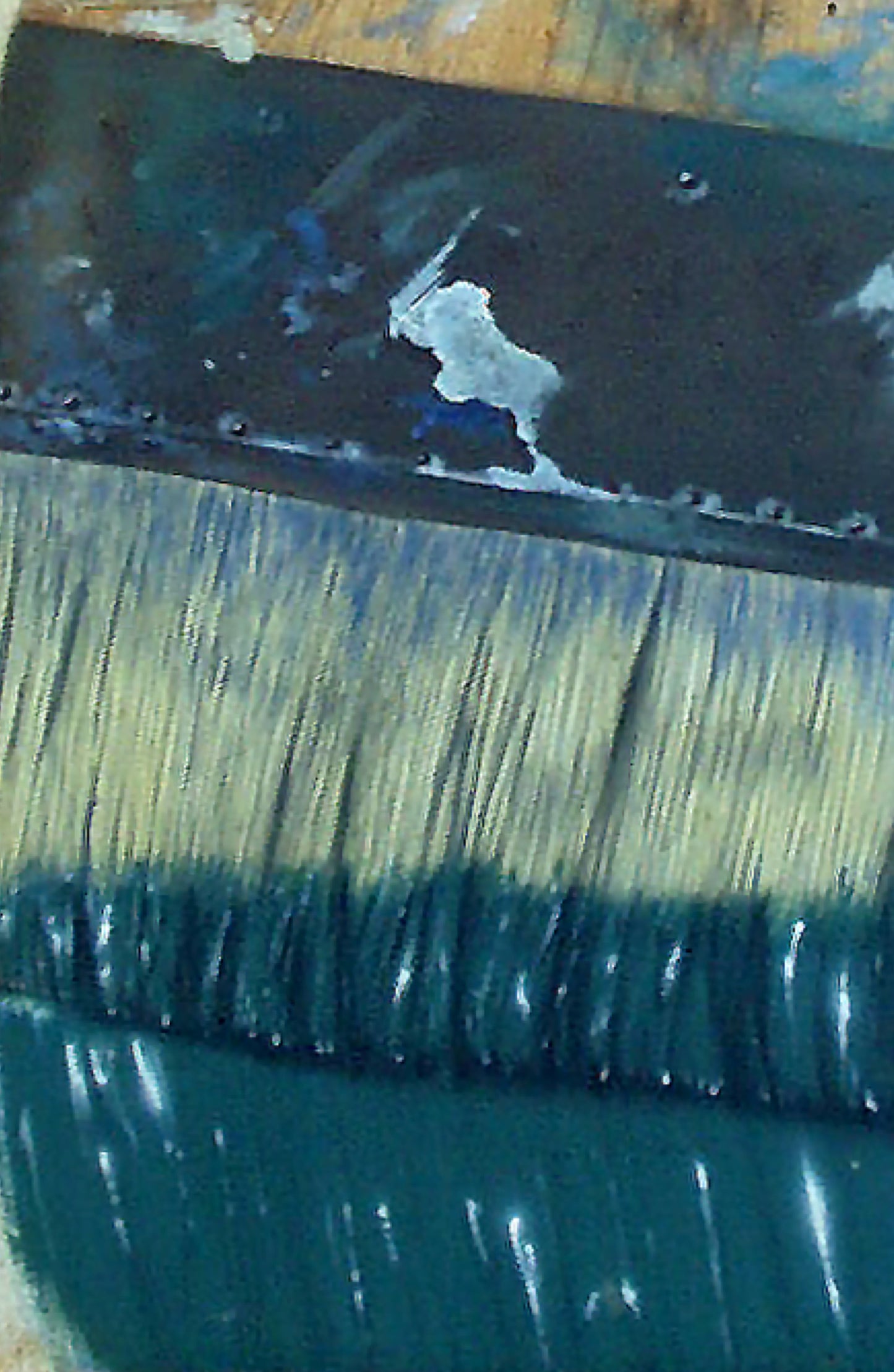 The Brush