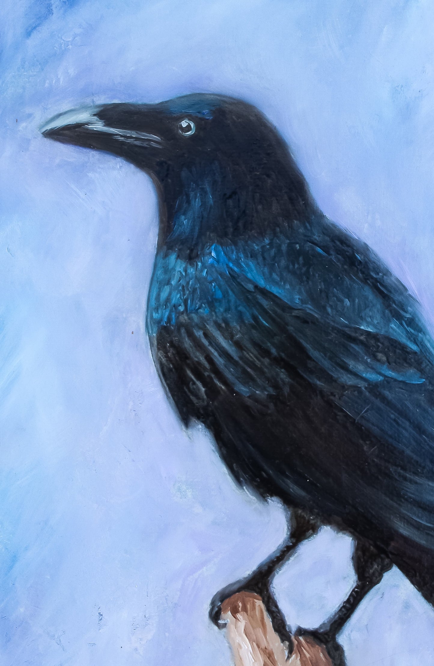 The Crow