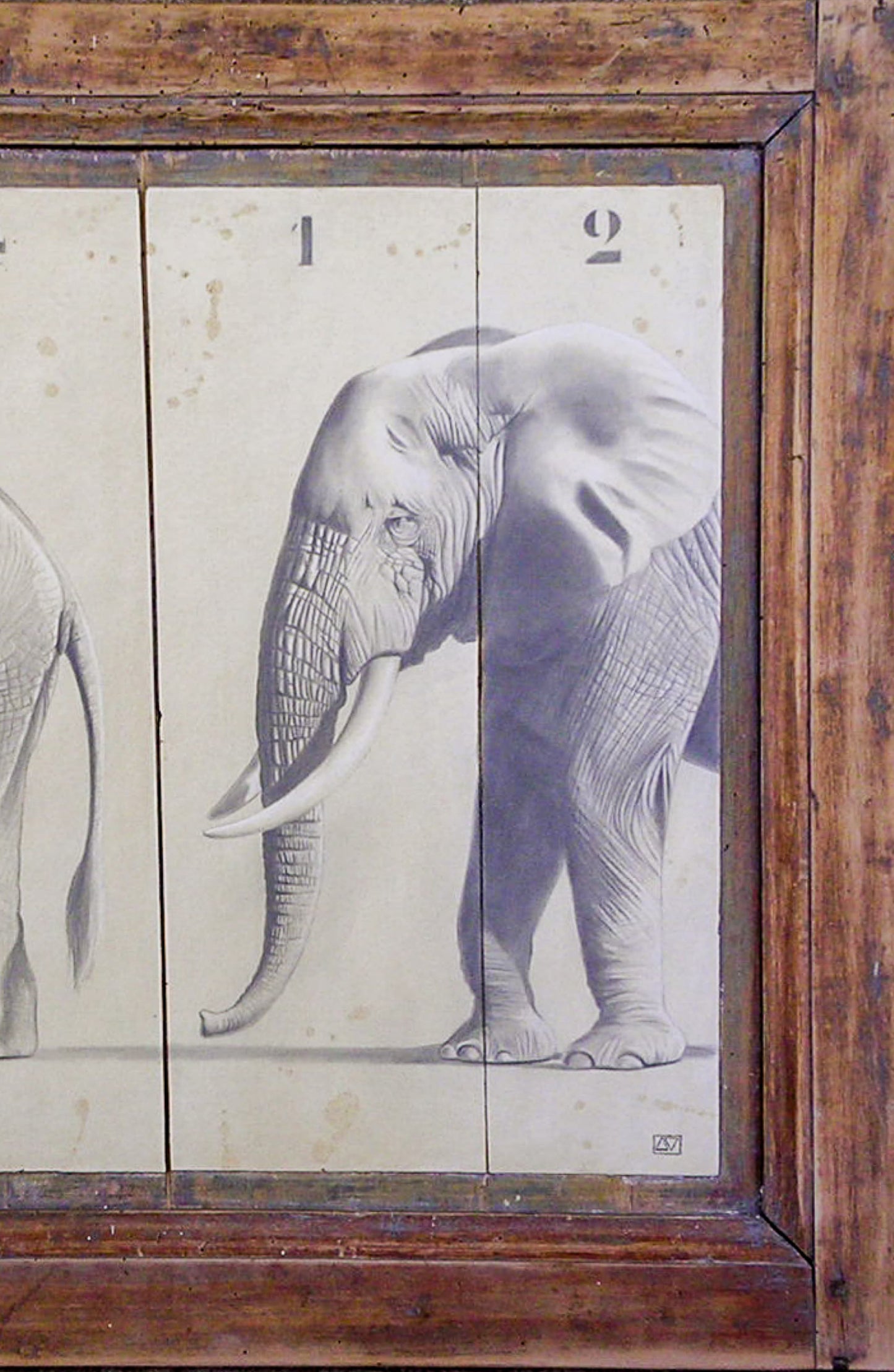 The Elephant