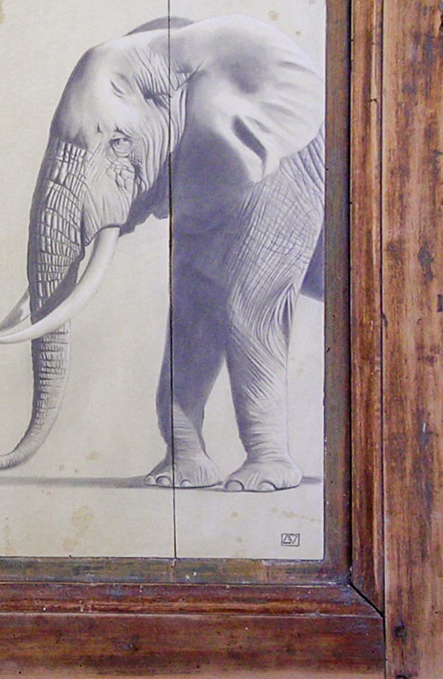 The Elephant