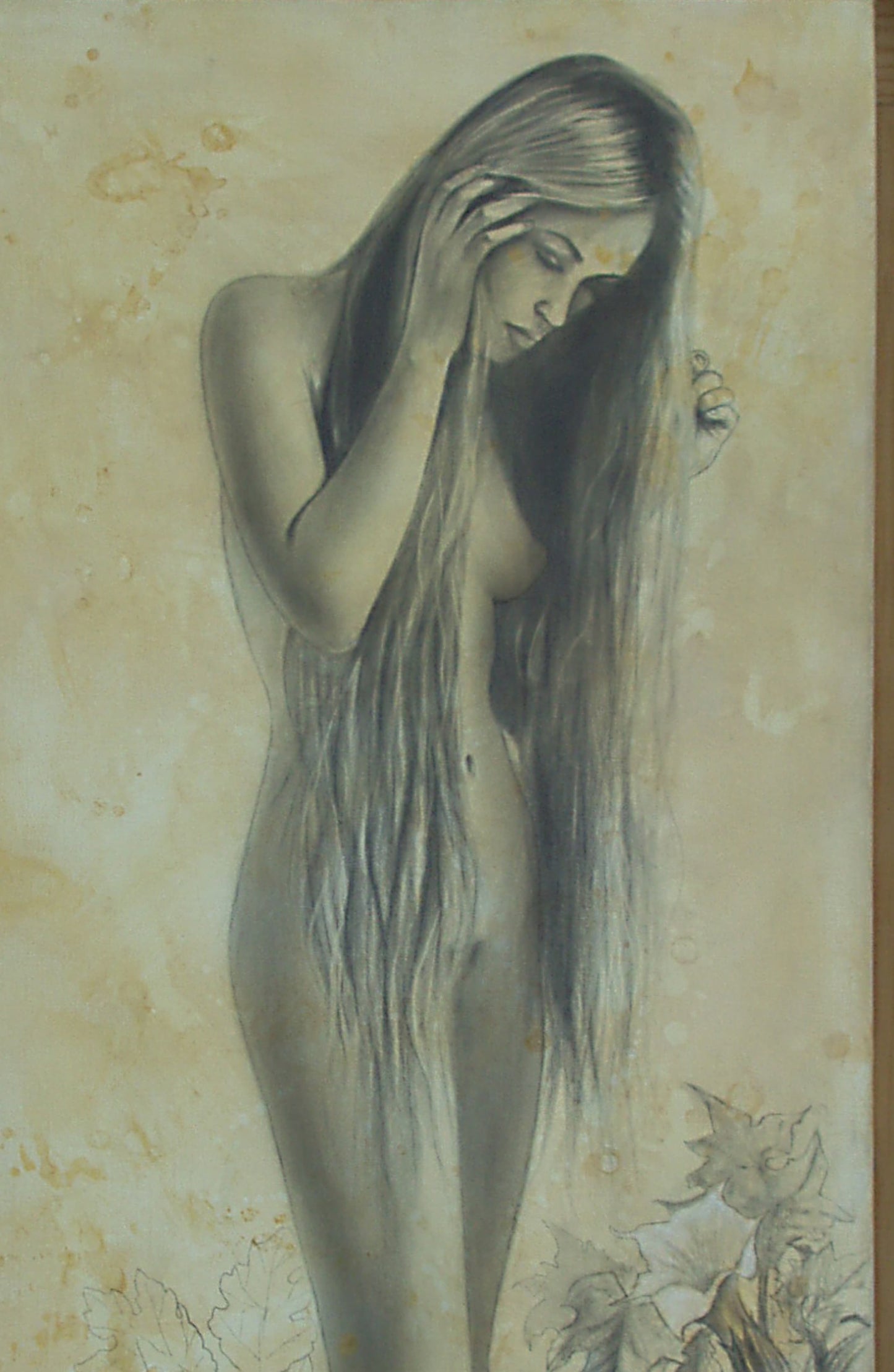 the fairy