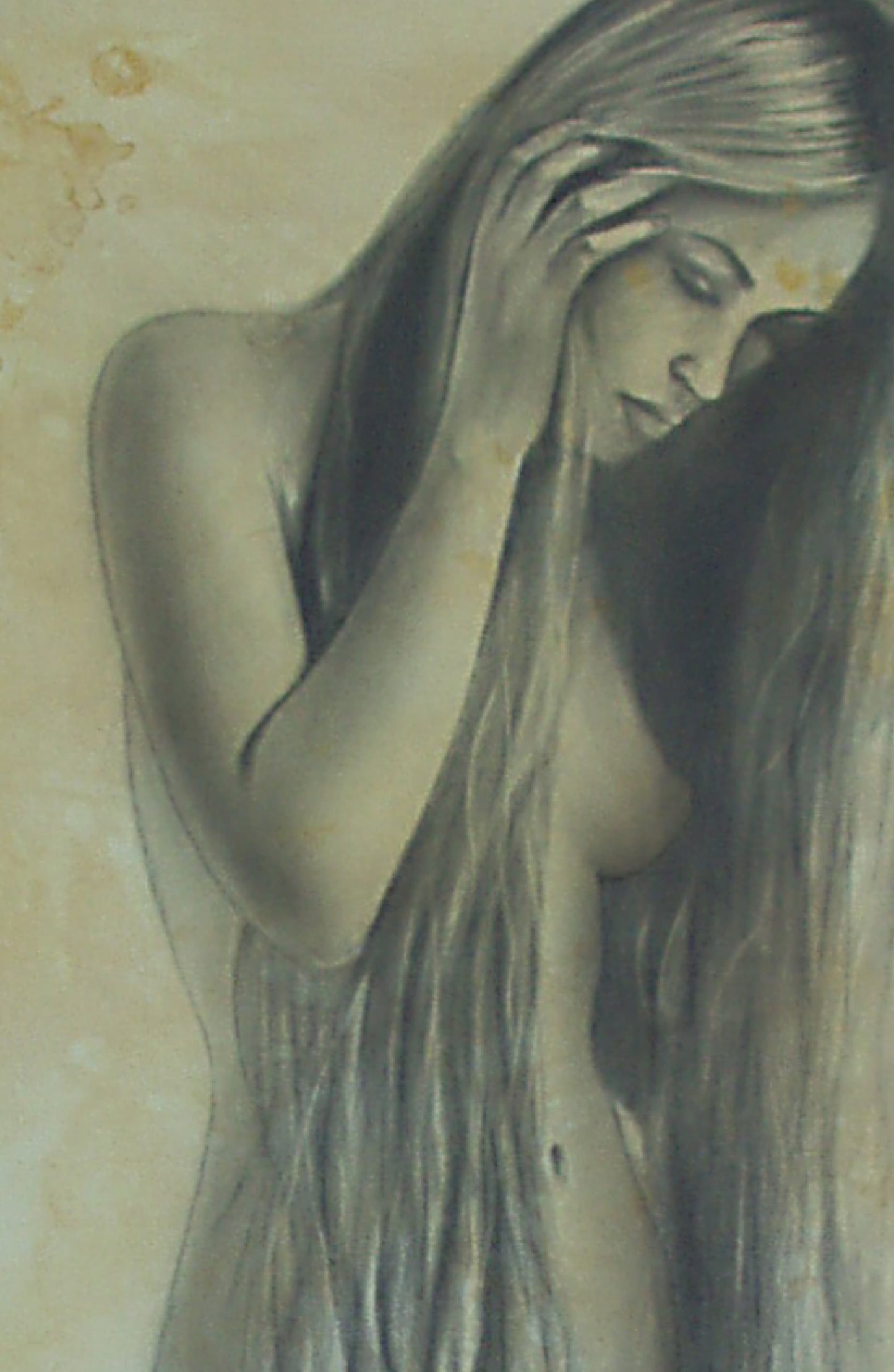 the fairy