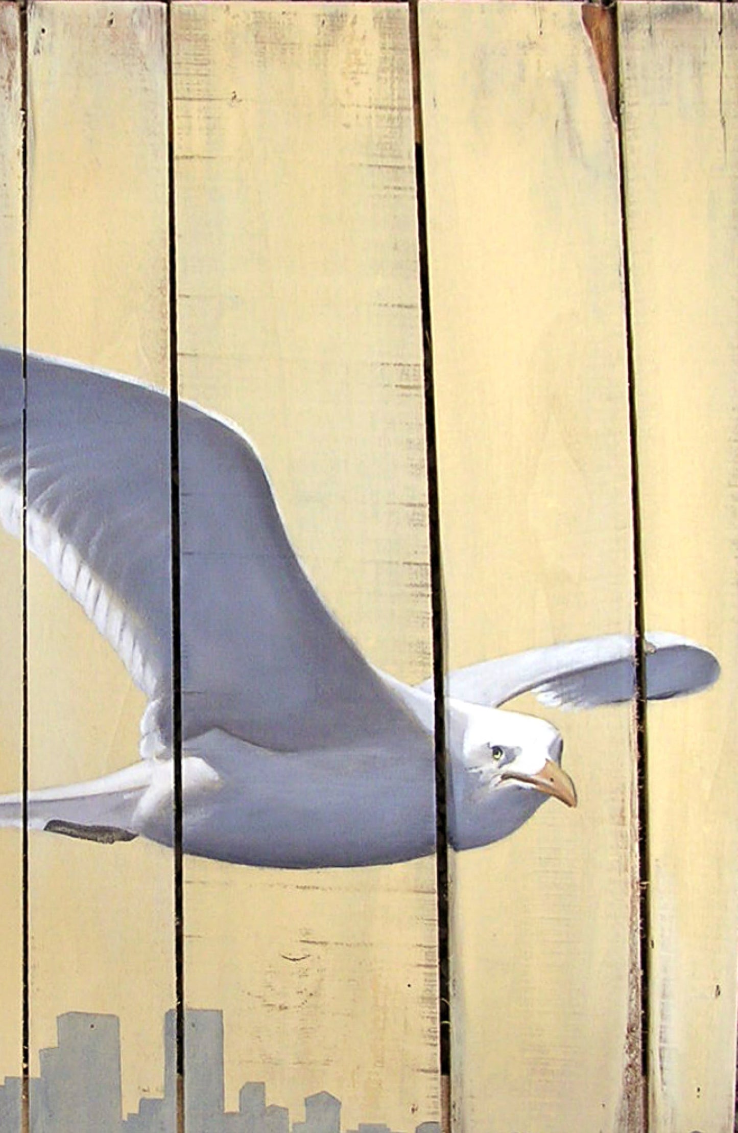 The flying seagul