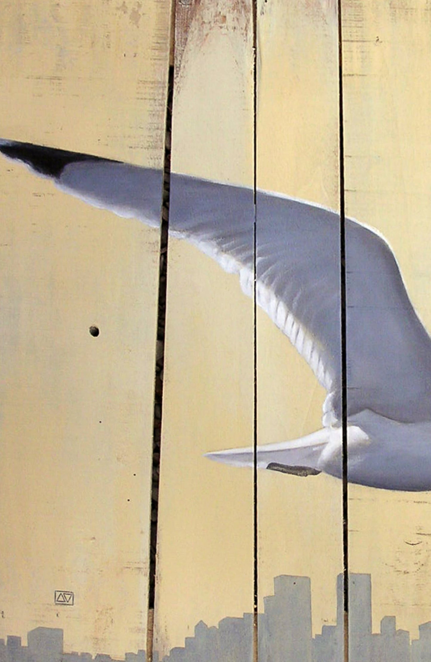The flying seagul