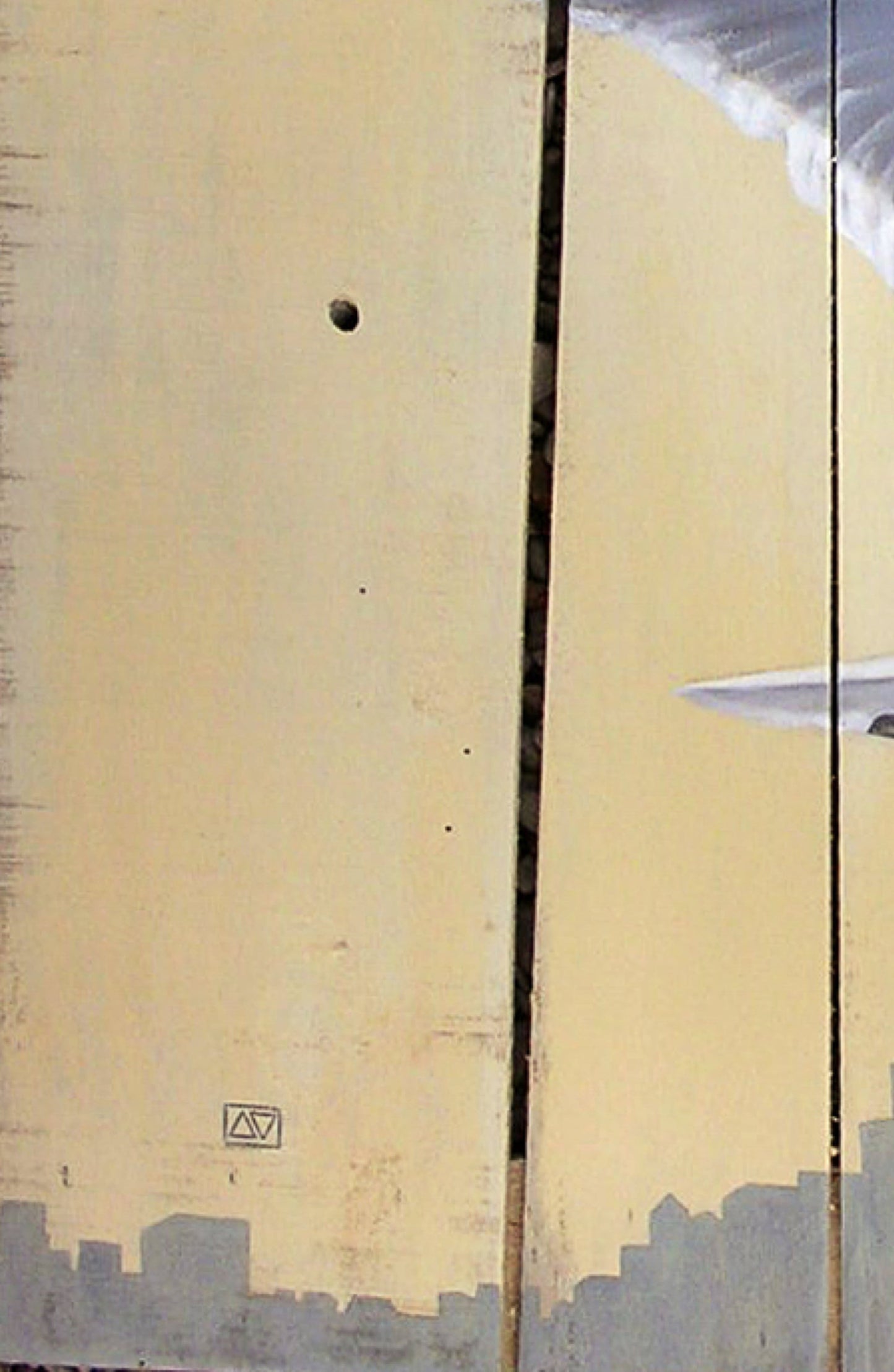 The flying seagul