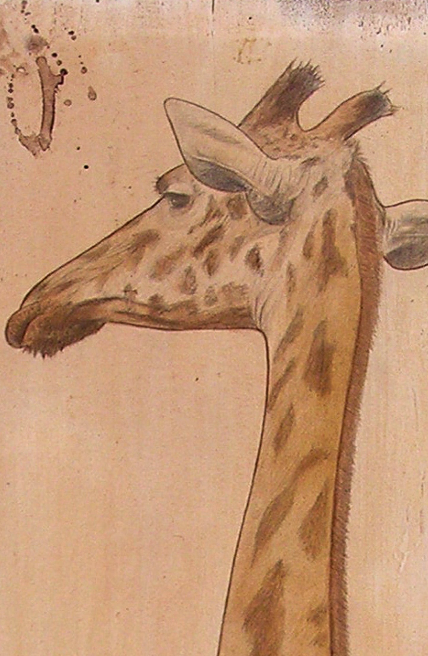 The Girafe
