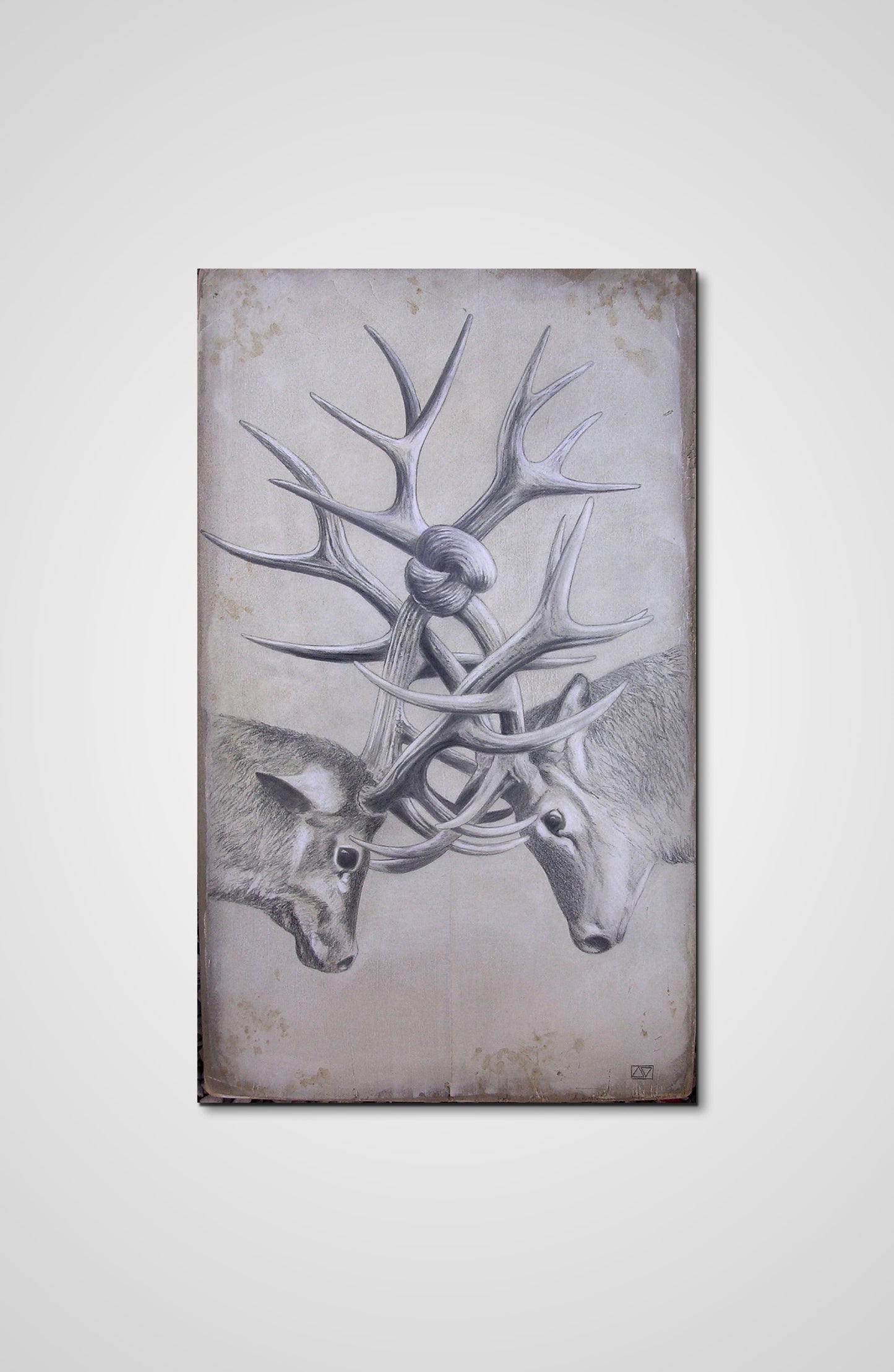 The knot pencil fine art wooden door animals Francois AVONS wooden door