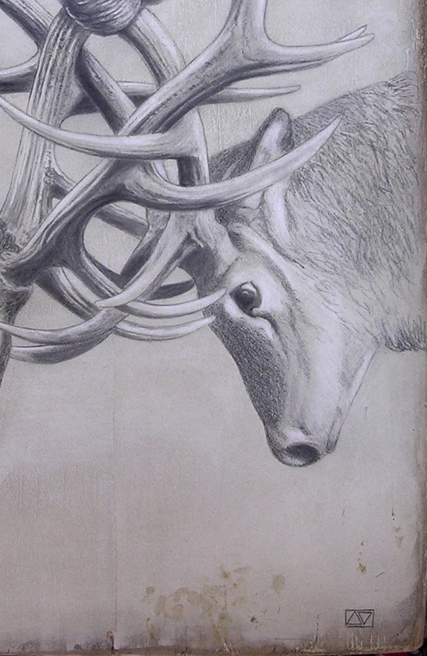 The knot