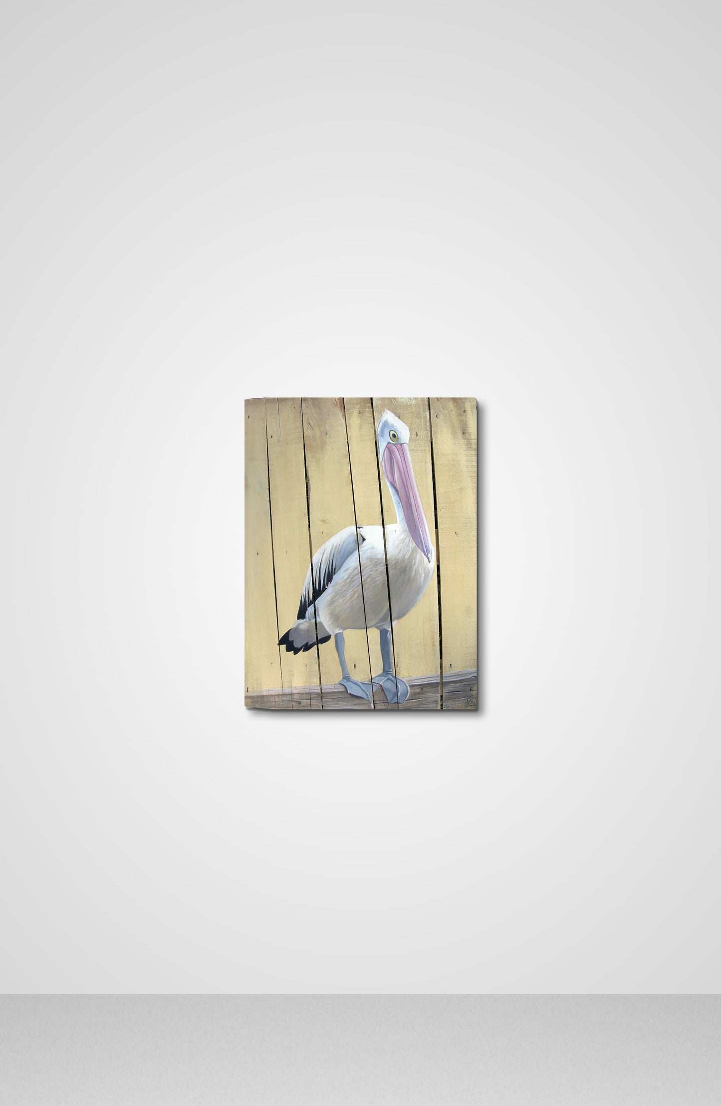 The Pelican