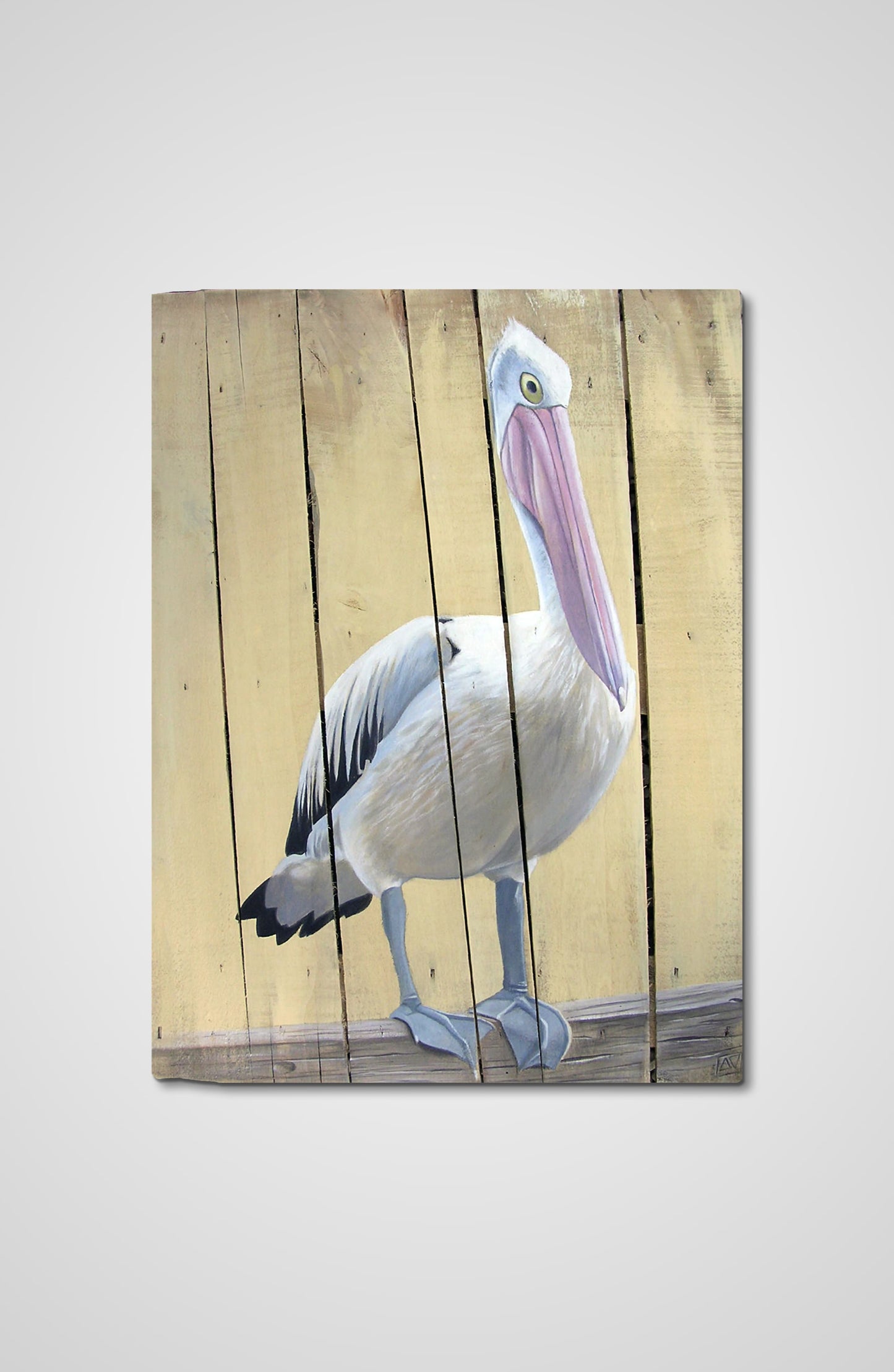 The Pelican