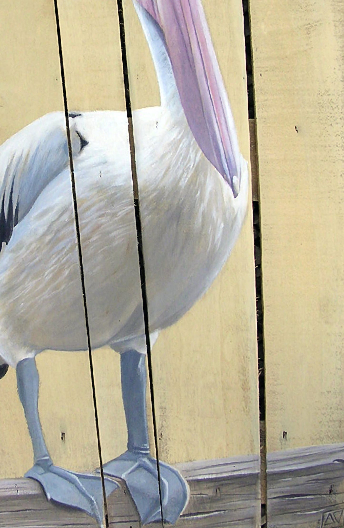 The Pelican