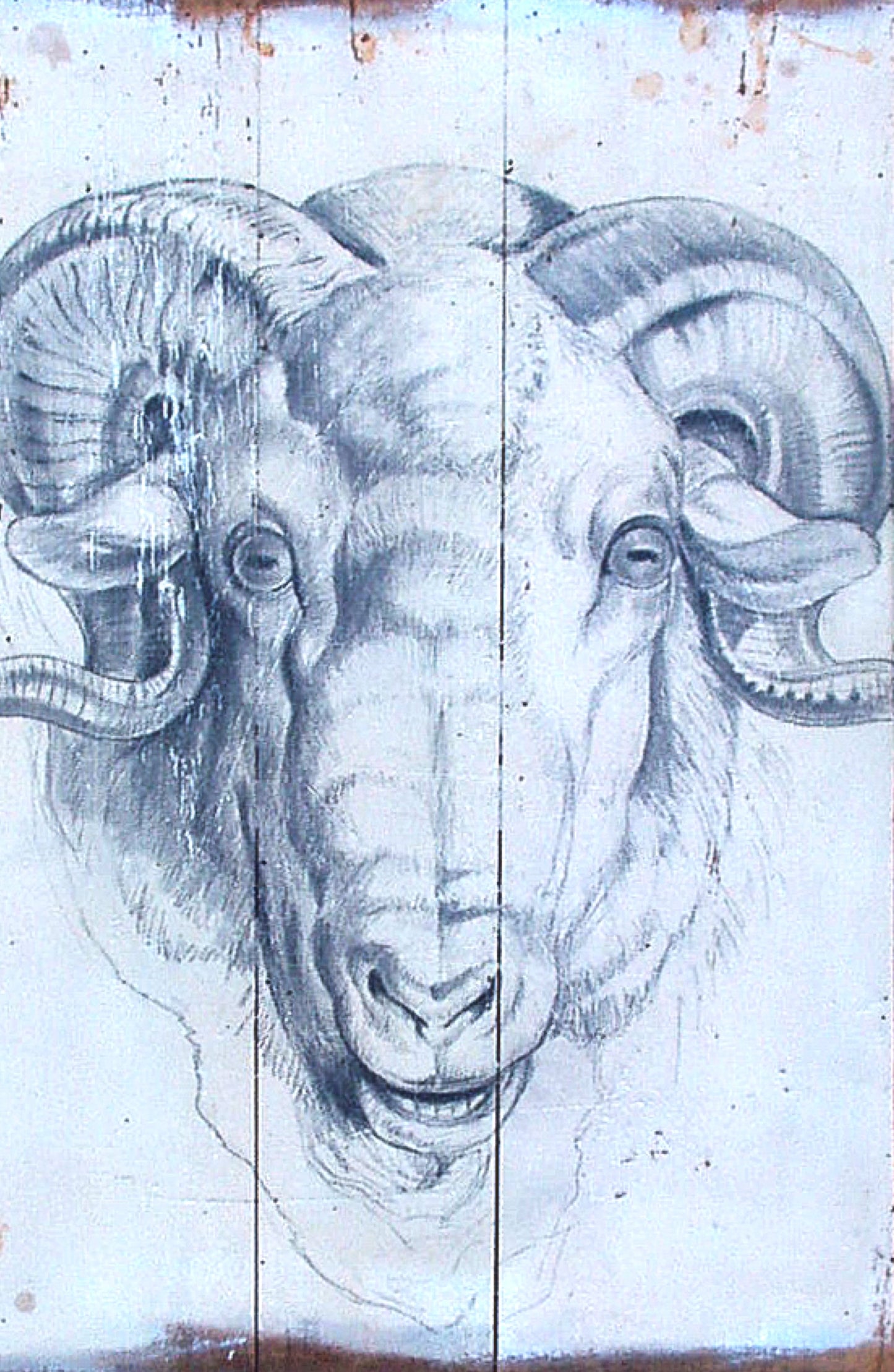 The Ram