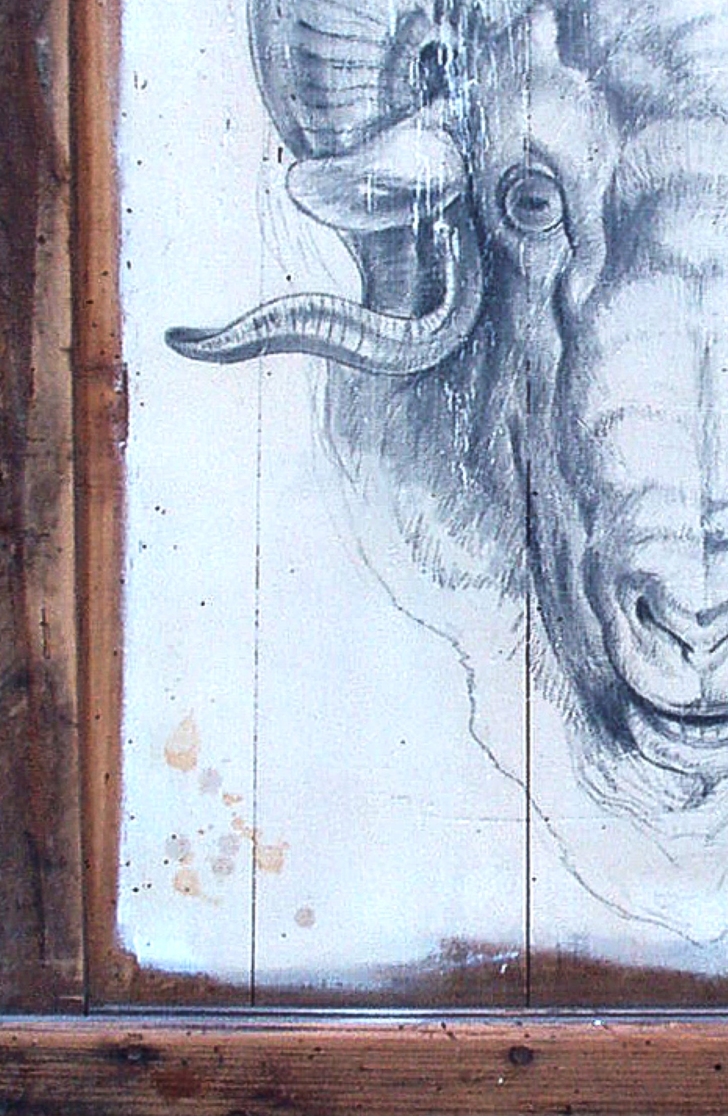 The Ram